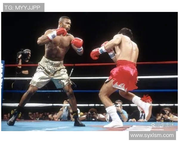 泰森与小罗伊琼对决的收入揭秘及其背后的商业价值分析